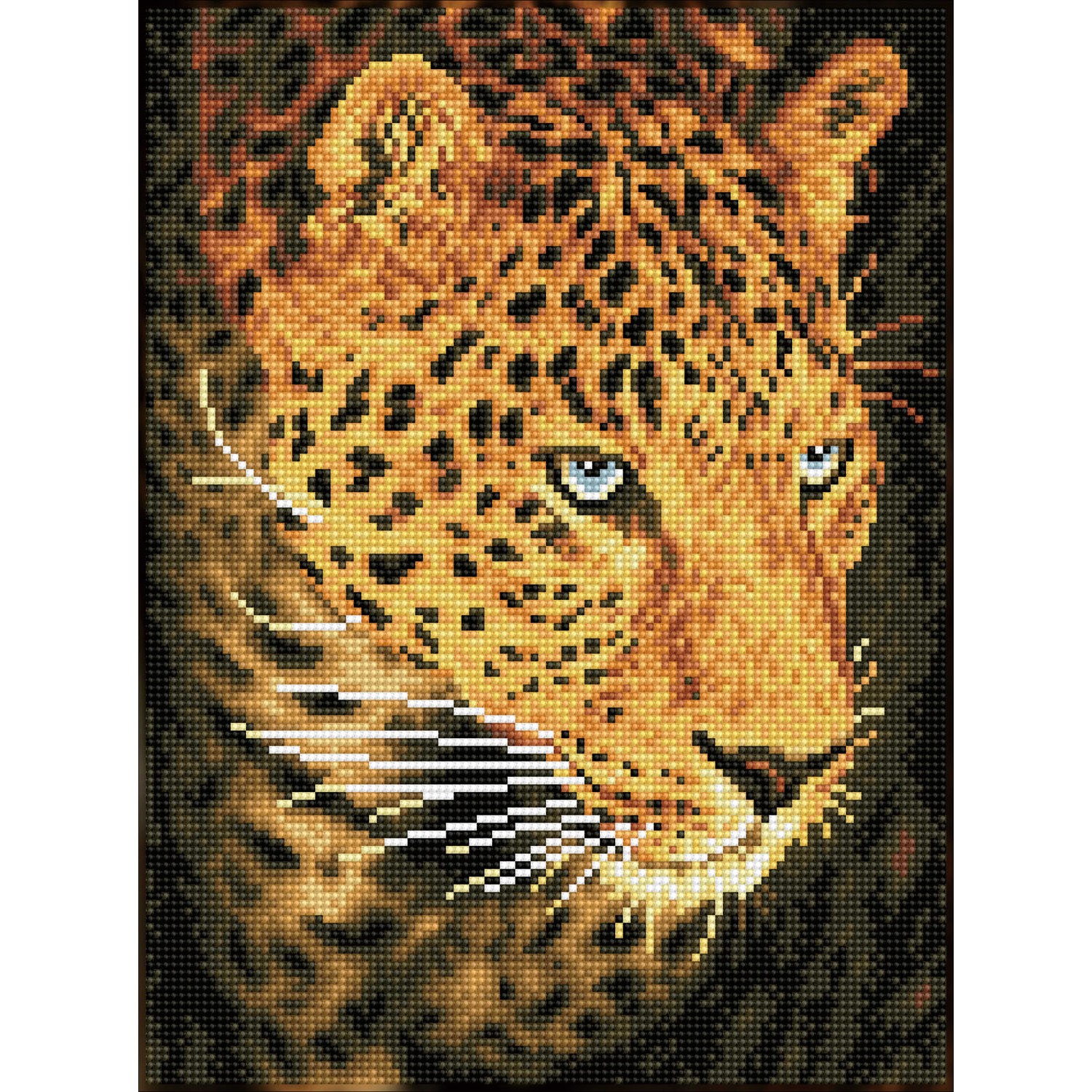 SD5.404 - Leopard portrait - 40X30